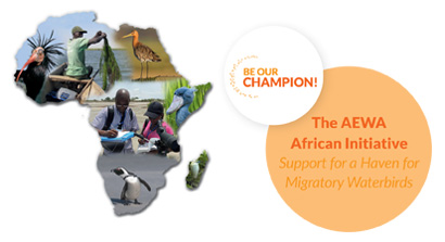 The AEWA African Initiative - Support for a Haven for Migratory Waterbirds